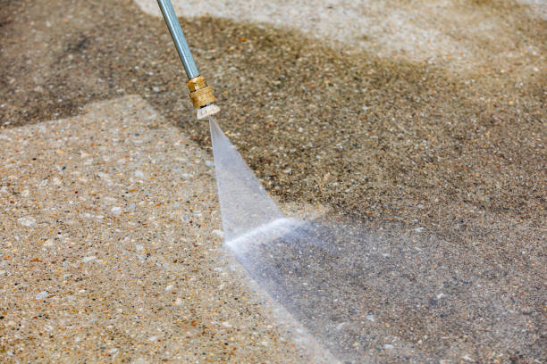 Animal Enclosure Cleaning in Emma, NC